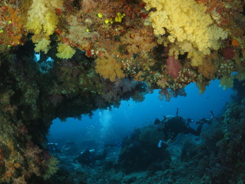 Waiyevo Taveuni Dive Resort מראה חיצוני תמונה