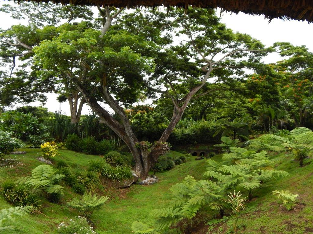 Waiyevo Taveuni Dive Resort מראה חיצוני תמונה