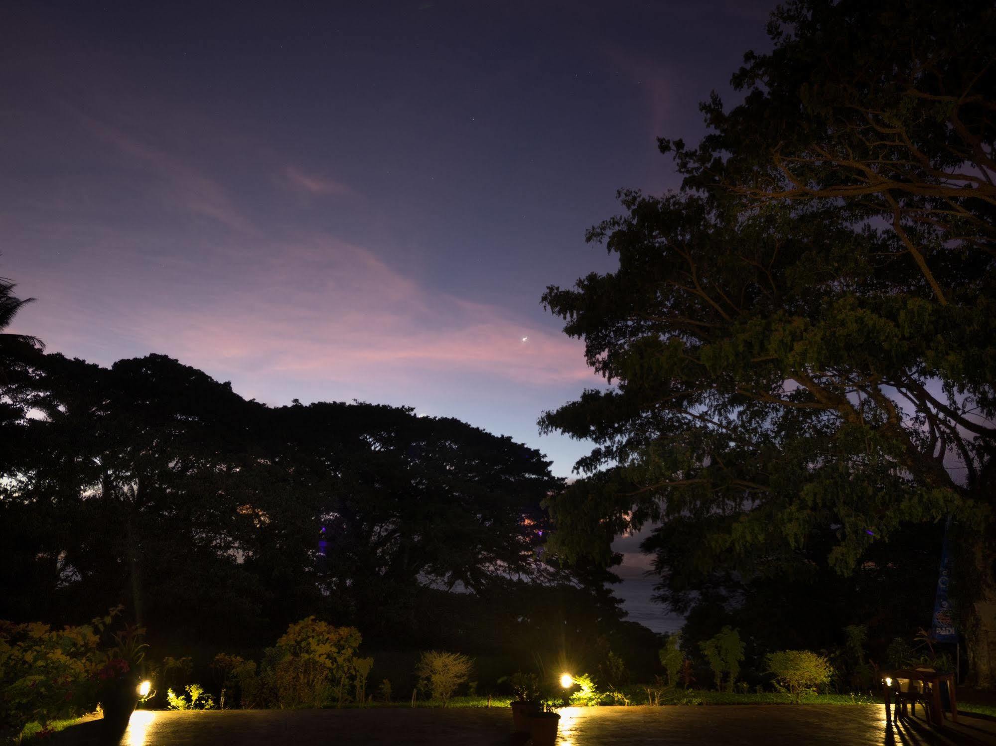 Waiyevo Taveuni Dive Resort מראה חיצוני תמונה